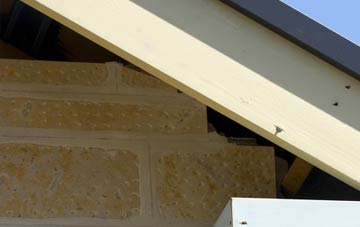 soffit repair Honor Oak Park